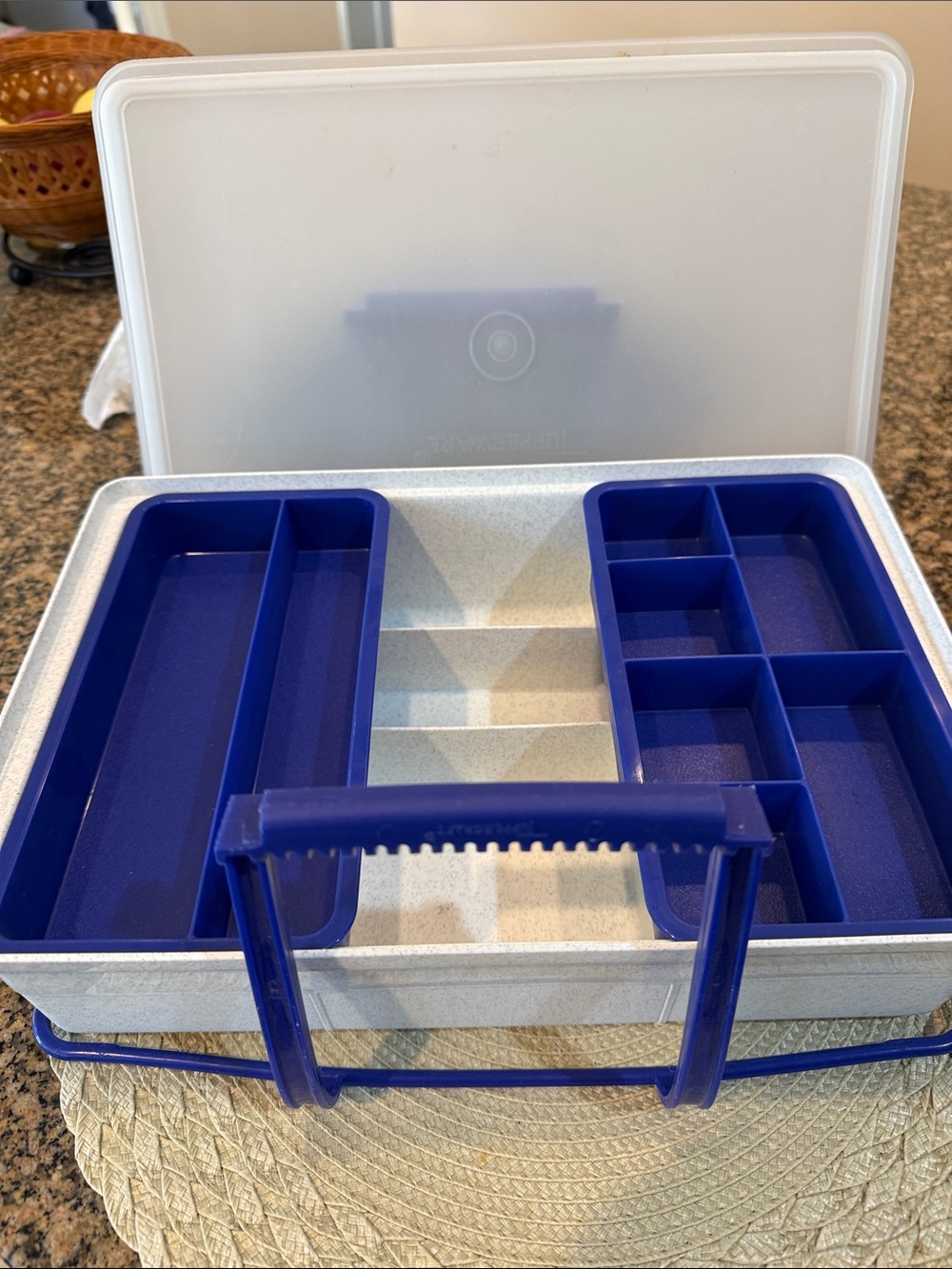 Tupperware Store and Go Organizer Box in Blue and White